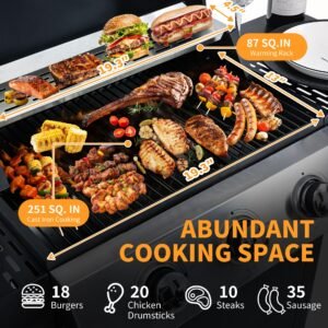 3-Burner Propane Gas Grill Stainless Steel Gas Grill 2,650 BTUs